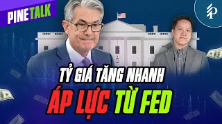 ÁP LỰC TỪ FED – TỶ GIÁ TĂNG NHANH! | Pinetalk – Tiêu điểm chứng khoán tuần