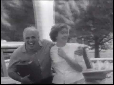 Candid Camera Gold: Split Car #2