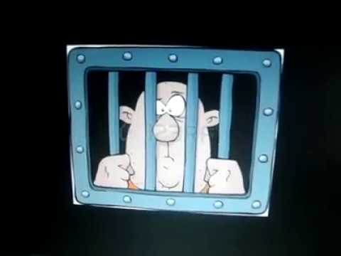 Gateiro perseguido e encurralado