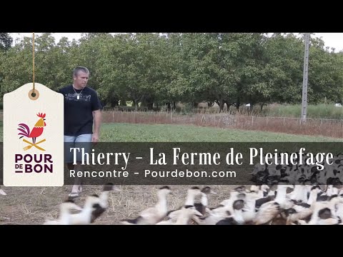 À la rencontre des producteurs - Thierry - La Ferme de Pleinefage