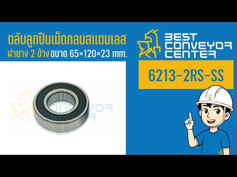 6213-2RS-SS stainless steel deep groove ball bearing video