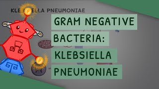 Gram Negative Bacteria: Klebsiella pneumoniae