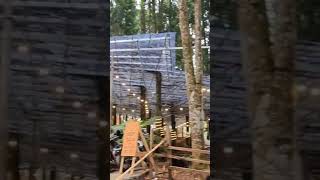 Download lagu Forest Kopi  Kembang Langit #shorts mp3 Download lagu Forest Kopi  Kembang Langit #shorts mp3