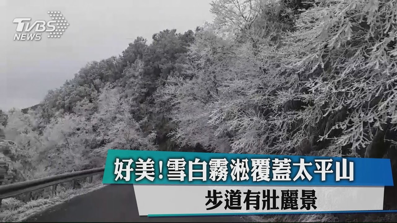 太平山成冰晶世界 遊客:像明信片超美