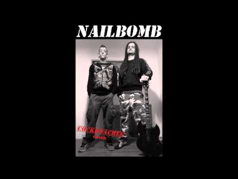 AUDIONERVE - Cockroaches [NAILBOMB cover] (feat. gERI)