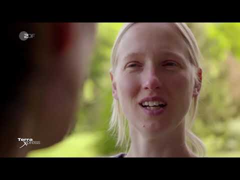 Jagdszenen im eigenen Garten: Dürfen Jäger auf Ihrem Privatgrund herumschießen?