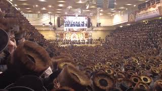 Belz Wedding: Kabules Panim | שמחת בית בעלזא: מעמד קבלת הפנים
