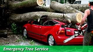 preview picture of video 'Dunwoody Tree Service | Emergency Tree Removal | Stump Grinding'