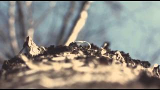 Planetary - Matter Of Sound