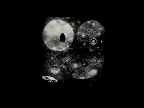 Senking | Live At Brussels 2000 [Self Released 2023]