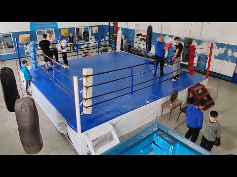 Sparring 2 box Un meci frumos la Juniori