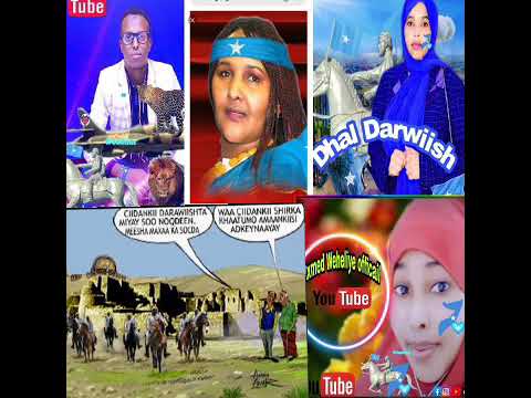 saado cali warsame Darawiish