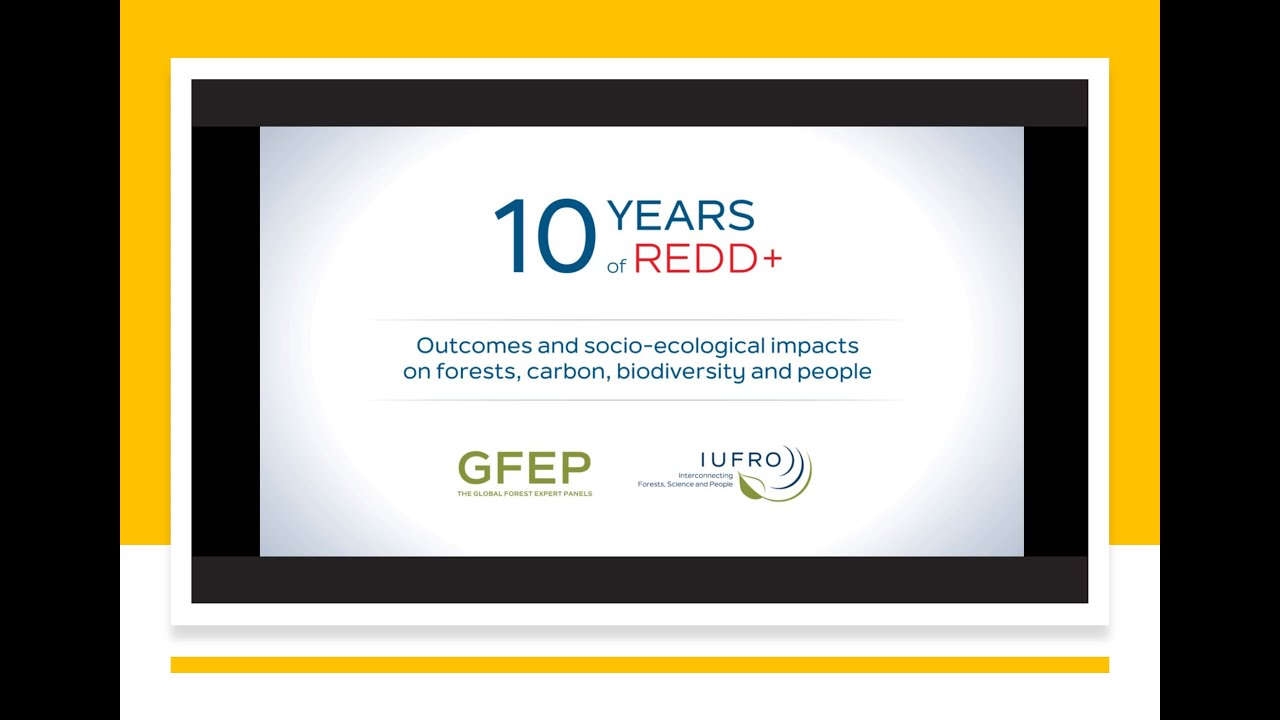 GLF Climate: 10 Years of REDD+: Outcomes and Socio-Ecological Impacts