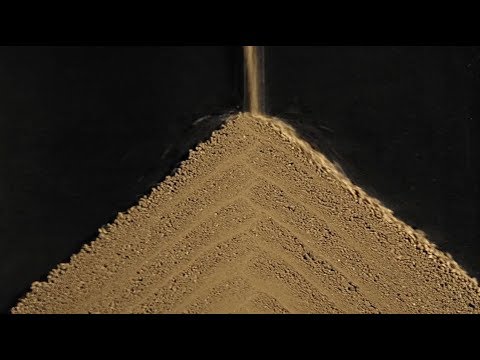 Le sapin de terre - expérience scientifique #4.02 de Grains de bâtisseurs