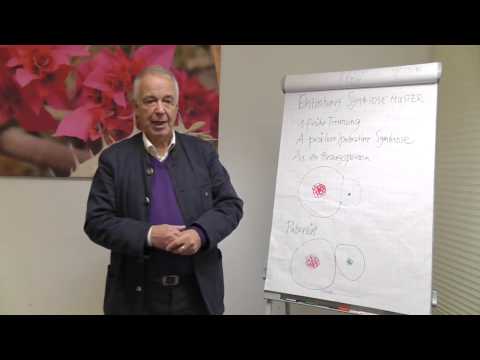 Symbiose und frühe Trennung (Dr. Langlotz)