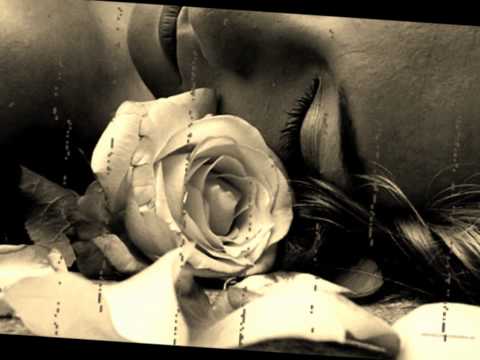 jan werner somewhere