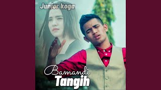 Download lagu BAMANDI TANGIH mp3 Download lagu BAMANDI TANGIH mp3
