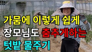 가뭄에 물주기 관정에 바로연결해 분수호스로 텃밭물주기 쉽게 해결했어요.