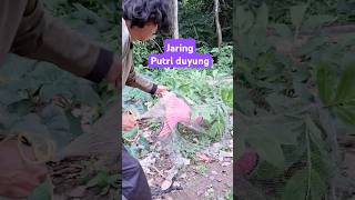 Download lagu ayah mau jaring putri duyung #comedy mp3