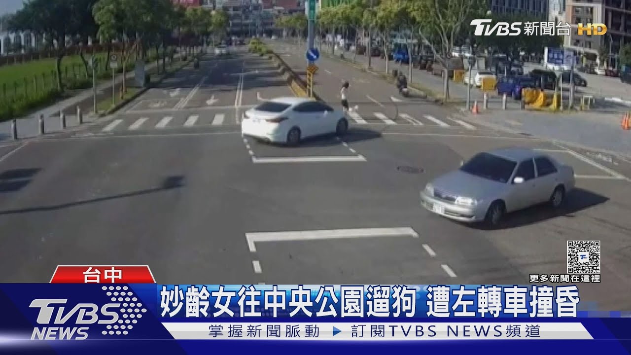 妙齡女往中央公園遛狗 遭左轉車撞昏