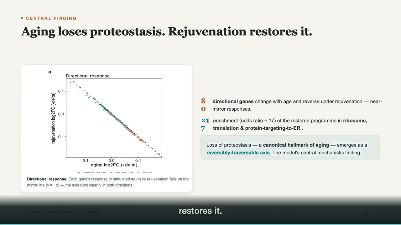 Aging Lab project preview