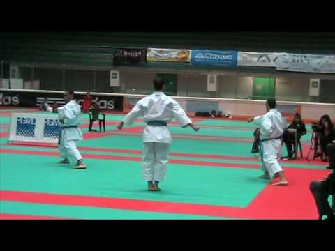 TEAM Kata + Bunkai UNSU by Egypt National Kata Team