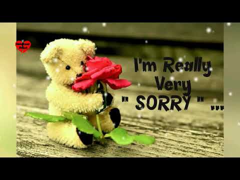 I Am Sorry WhatsApp Status || Forgive Me Status || Feeling Sorry || Status || Quotes || Message Video
