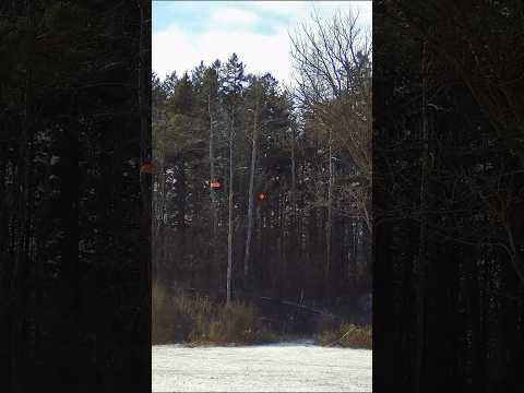 Ultimate All Around  Semi-Auto Target Shotgun? Beretta A400 Xcel Multi Target 12ga Review