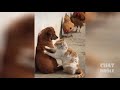 Animal Drôle Essayer Pas De Rire Mort De Rire