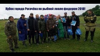 Отчеты о рыбалке рогачев