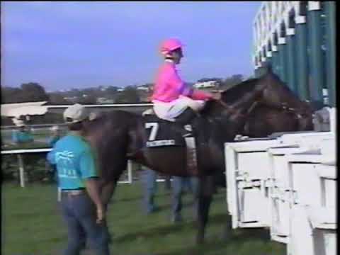 1993 Eddie Read Handicap (Grade I) $300,000