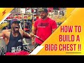 How To Build A Big Chest With NDO CHAMP