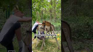 😂👍 #music #horse #ponymalta #equestrian #equestrianjourney #funny #hh #hobbyhorse #woodenhorse