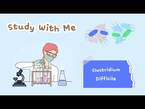 2.3 Clostridium Difficile | Gram Positive Bacilli | Special Bacteriology | Sketchy Micro In Urdu