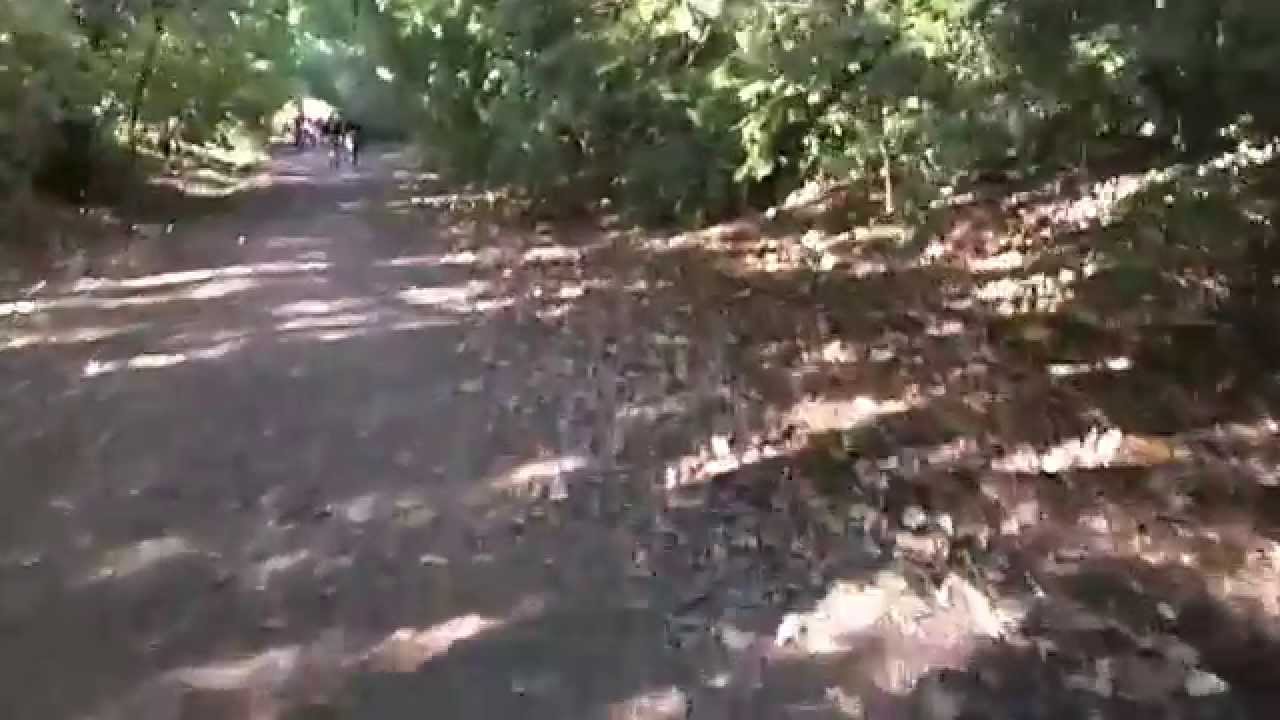 Parkland Walk (South) from Oxford Road Gate to Highgate Tunnels