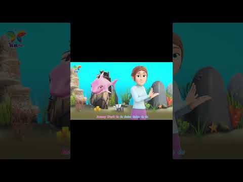 3D Cartoon Animation |Baby Shark | Split Arts Technologies