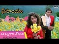 Premalayam Movie Video Song ఈ పిల్లగాలి చేసింది Salman Khan Madhur