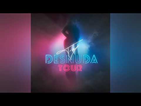 Fey, Paul Oakenfold - The Perfect Song