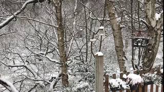 Sunday March 4th Craft session cancelled