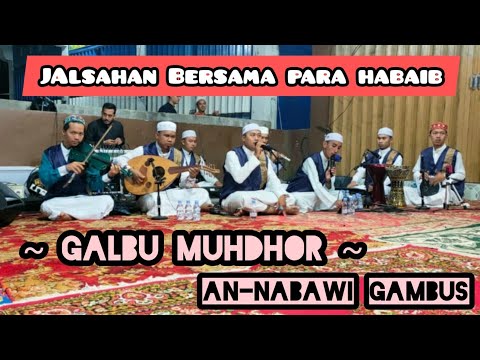 GALBU MUHDHOR - JALSAH GAMBUS AN NABAWI