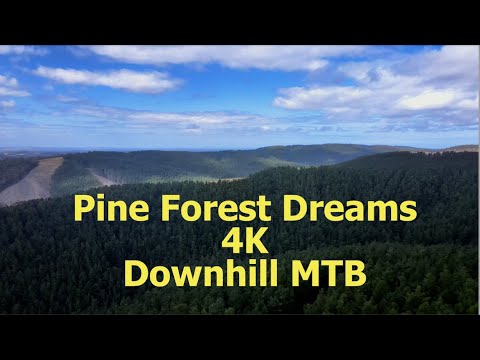 (Pine Forest Dreams) 4K MTB Movie