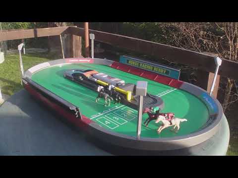Electronic Horse Racing Game