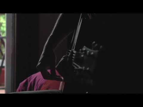 DAZIO – Come fanno gli animali – acoustic