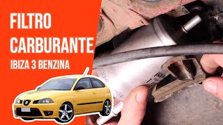 Youtube thumbnail of video " Cambiare il filtro della benzina"
