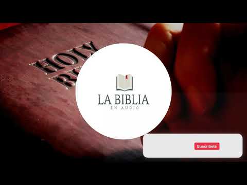 📖🔊1 CRÓNICAS: 21 /22 /23/ 24/🔊LA BIBLIA EN AUDIO🔊REINA VALERA 1960🎶🔊