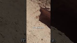 Exploring Ancient Tombs in the Sahara Desert
