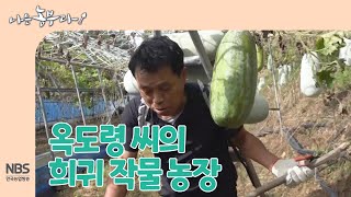 [나는농부다 272회] 옥도령 씨의 희귀 작물 농장