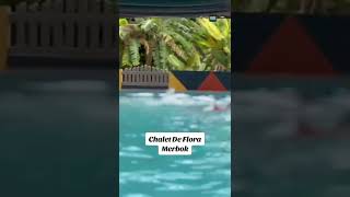 Download lagu #ChaletDeFlora mp3