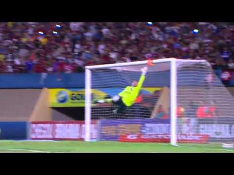 Goias x Flamengo - gol do chicão - Brasileirão 2013 HD