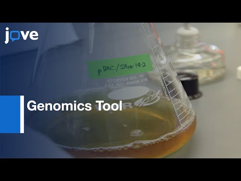 Positive-strand RNA viruses Study using Genomics Tool | Protocol Preview